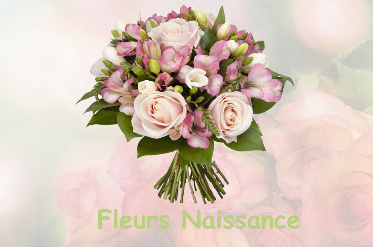 fleurs naissance SAINTE-LUCE